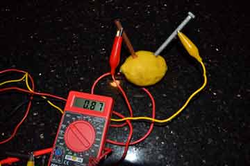measure fruit battery voltage