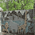 Cincinnati Zoo